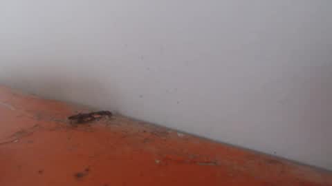 Snapshot of alexamdergal chatting on 11/24/25, 12:21 Alexamdergal online show from 11/24/25, 12:21