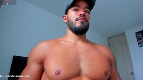 Snapshot of alexander_martines chatting on 04/06/26, 07:15 Onlyfansalexmartinezwb Instagram alexwbmartinez Twitter martinezcb937 online show from 04/06/26, 07:15