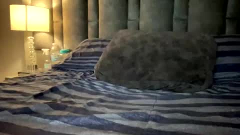 alexander grey online show from 03/12/25, 11:44