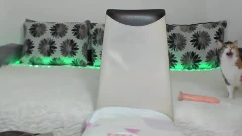 Alexa online show from 01/11/25, 11:23