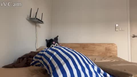 alexfilmx online show from 10/16/25, 07:31