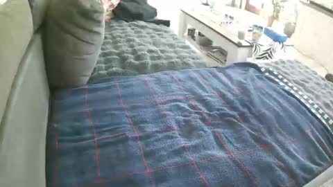 Doggystyle online show from 05/02/26, 08:41