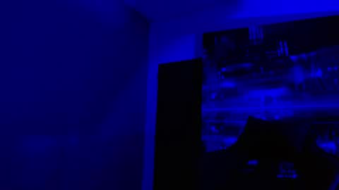alexgiraldo__ online show from 05/03/26, 11:05