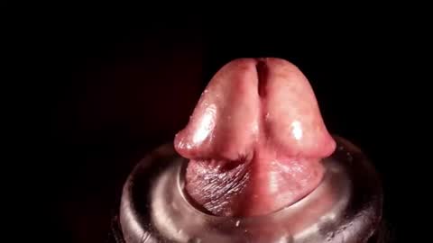 Snapshot of alexhoward chatting on 03/03/26, 06:19 alexhoward online show from 03/03/26, 06:19