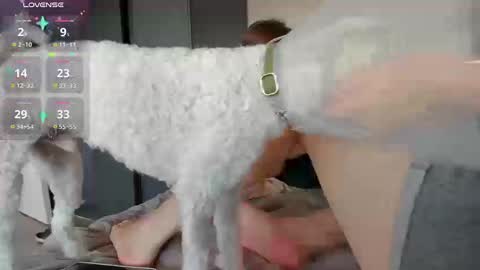 Alexia online show from 11/20/25, 03:23