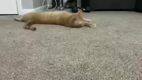 Snapshot of alexispaige06 chatting on 10/11/25, 07:01 alexispaige06 online show from 10/11/25, 07:01