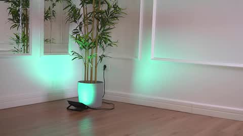 alexxiskye online show from 01/06/26, 06:28