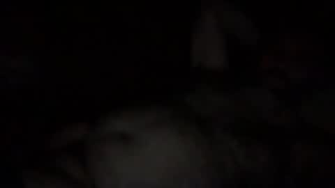 alfali online show from 12/03/25, 10:08