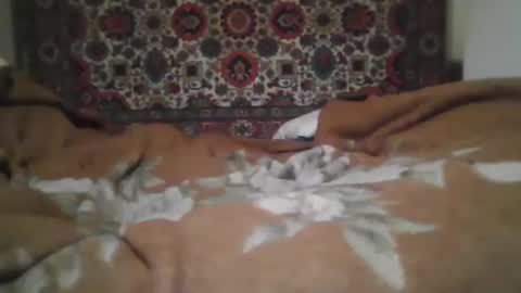 alferezsolvajo online show from 02/25/26, 03:43