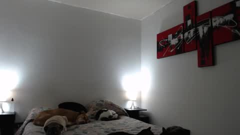 Snapshot of alguien_mas01 chatting on 03/12/25, 07:24 cami online show from 03/12/25, 07:24