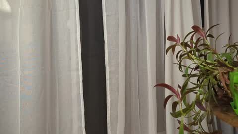 ali500886 online show from 03/30/26, 05:52