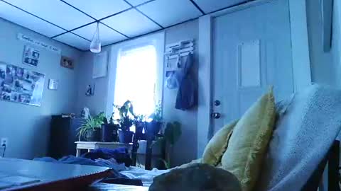 ali_tayler online show from 11/08/25, 01:44