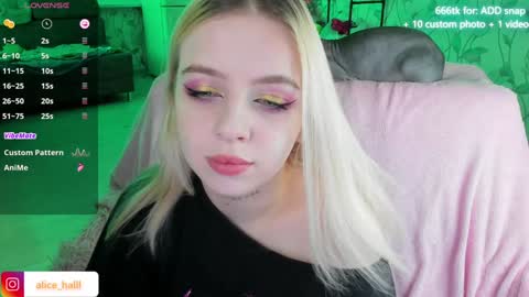 Snapshot of alice_halle chatting on 12/13/24, 08:26 alice_halle online show from 12/13/24, 08:26