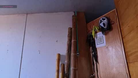 alice_randyy online show from 02/12/26, 01:17