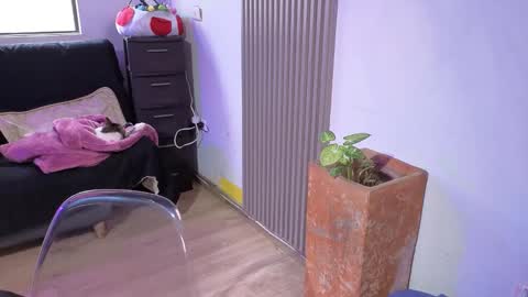 Alice online show from 12/18/25, 01:39