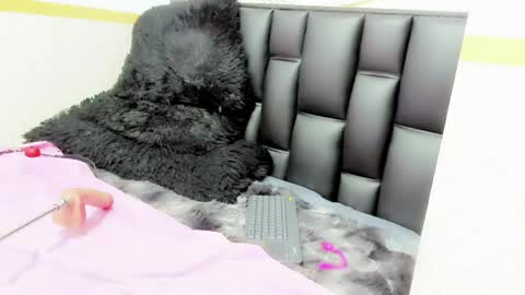 alicee online show from 05/12/26, 09:45