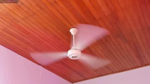  ALICEKIING online show from 12/16/25, 03:00