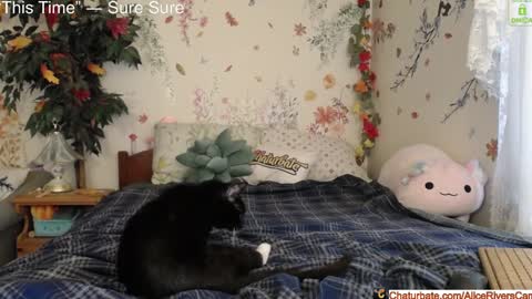 Alice Rivers ---- Enter my public Discord-  online show from 01/18/25, 08:40