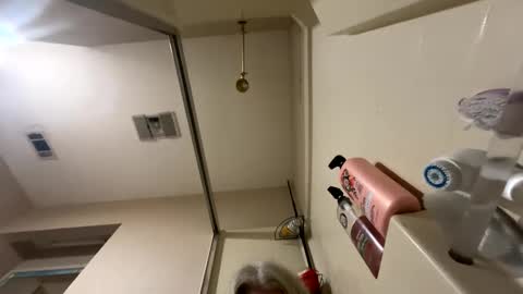 Snapshot of alicescuriosity chatting on 12/17/24, 06:31 Alices Curiosity online show from 12/17/24, 06:31