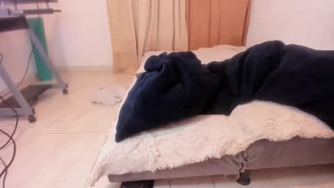 Snapshot of aliciapalmer19 chatting on 02/07/25, 11:24 Alis 3 independent model 3 online show from 02/07/25, 11:24