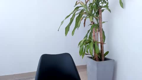 Alice online show from 10/26/25, 03:18