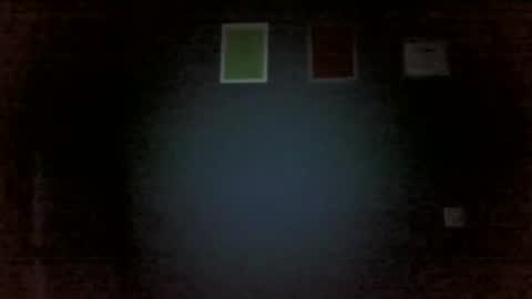 Snapshot of aliprcalica1 chatting on 02/11/26, 04:56 Chris online show from 02/11/26, 04:56