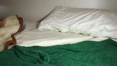 Snapshot of aliroxy28 chatting on 10/16/25, 03:02 Ali Roxy online show from 10/16/25, 03:02