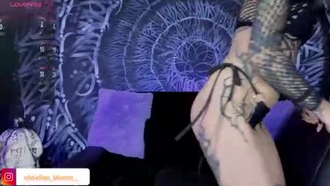 Snapshot of alison_wynter chatting on 06/25/26, 03:17 alison_wynter online show from 06/25/26, 03:17