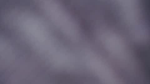 allise online show from 12/22/25, 02:30