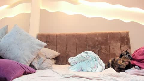 Snapshot of alisson_am chatting on 04/01/26, 01:41 Alisson online show from 04/01/26, 01:41