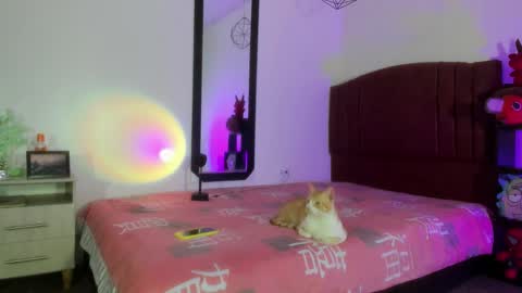 Snapshot of alisson_zafiro chatting on 12/17/24, 09:07 Alisson IG alisson zafiro27 online show from 12/17/24, 09:07