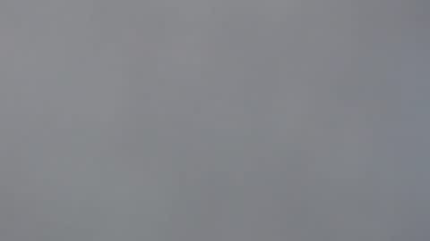 aliuno12345678 online show from 12/29/24, 12:34