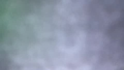 all_most_sane online show from 05/18/26, 04:02