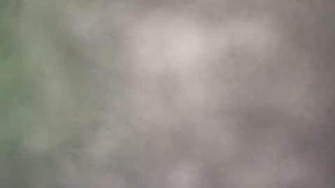 all_most_sane online show from 05/21/26, 09:11