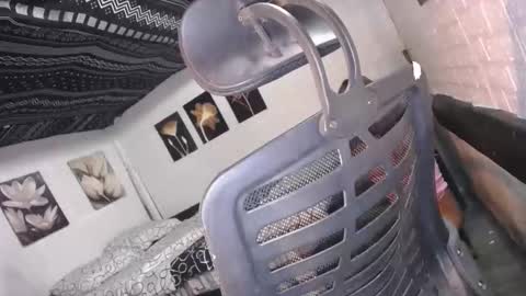 Snapshot of allday_mistress chatting on 12/16/25, 10:09 trina online show from 12/16/25, 10:09