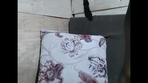 Allie online show from 02/10/26, 11:14