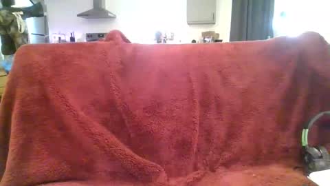 Snapshot of alliebearx chatting on 03/03/25, 09:26 alliebearx online show from 03/03/25, 09:26