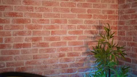 Allie online show from 12/21/24, 09:01