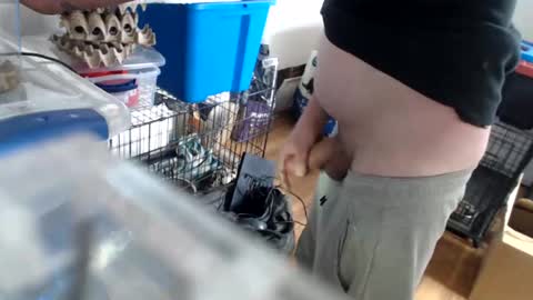 allwolf0323 online show from 04/14/26, 04:02