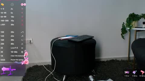 Snapshot of allymdo chatting on 11/19/25, 11:43 allymdo online show from 11/19/25, 11:43