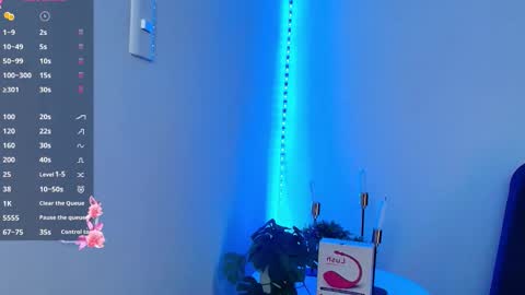 Snapshot of allymdo chatting on 11/24/25, 12:05 allymdo online show from 11/24/25, 12:05