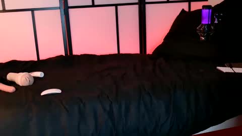 Snapshot of allys_secret chatting on 12/03/24, 08:17 Call me Ally online show from 12/03/24, 08:17