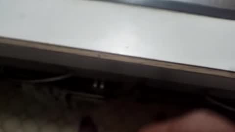 alostmale online show from 12/08/24, 10:52