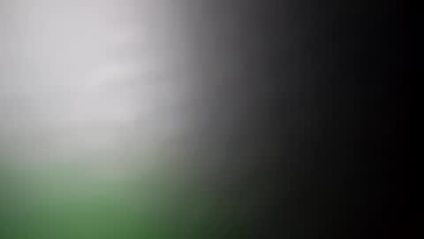 alostmale online show from 02/20/25, 07:34