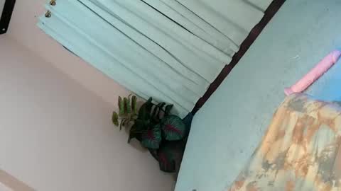 LEXY online show from 02/02/25, 04:43