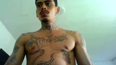 Snapshot of alpha_zom chatting on 04/23/26, 03:36 Alpha Zom online show from 04/23/26, 03:36