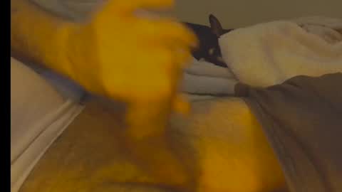 alphablue_wolf1295 online show from 01/02/25, 06:29