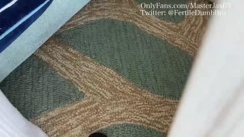 MasterJax69 online show from 10/27/25, 04:00