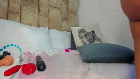 AMATISTA online show from 11/12/25, 09:03