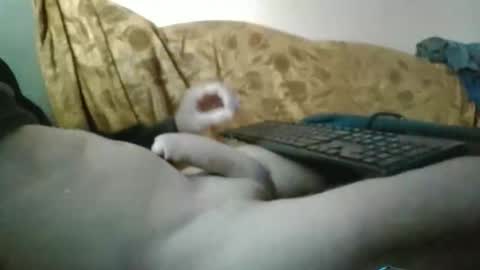 amazingcuteboy845 online show from 09/29/25, 01:16